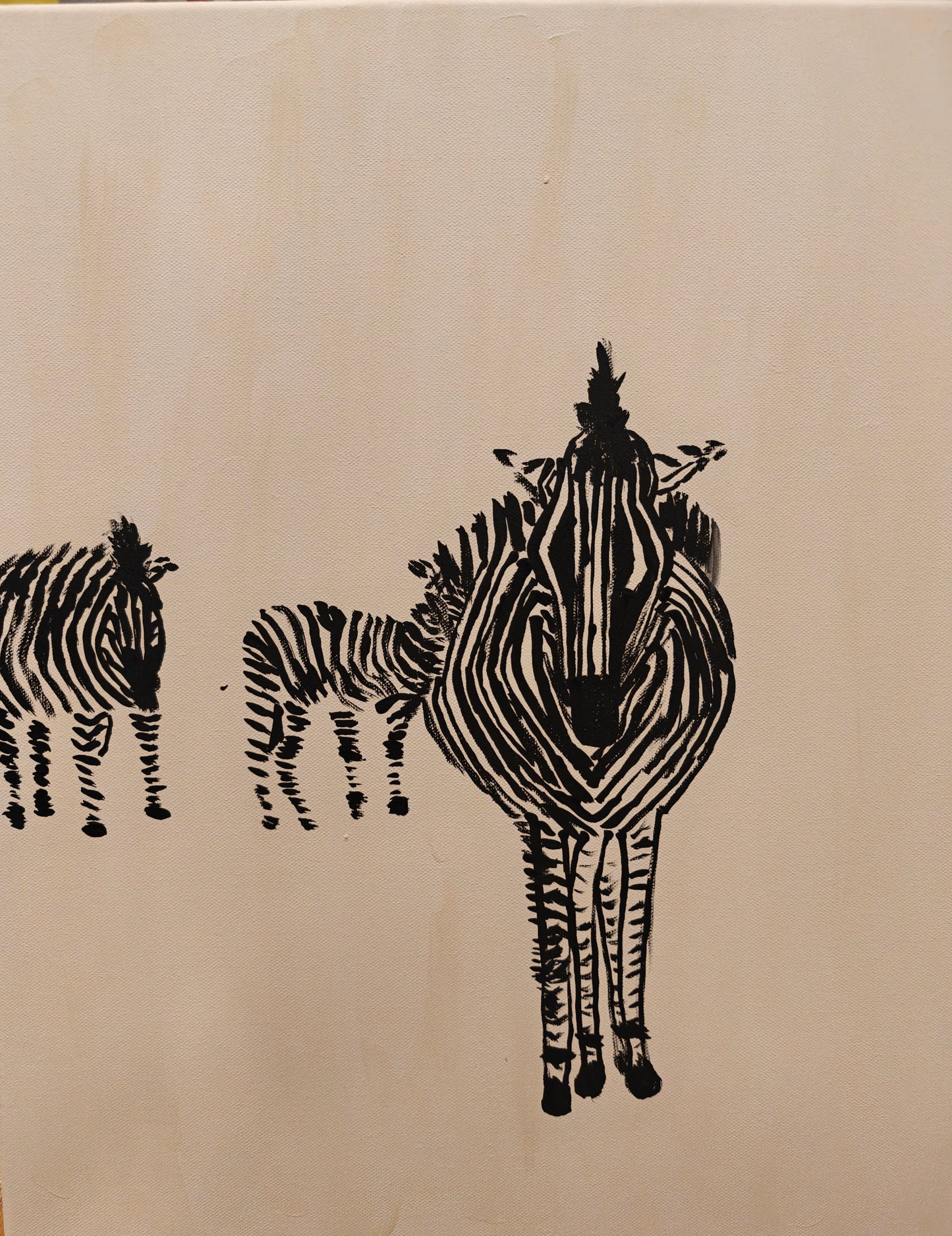 3 Zebras from South Africa