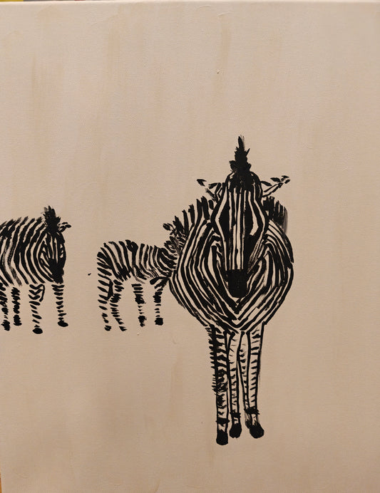 3 Zebras from South Africa